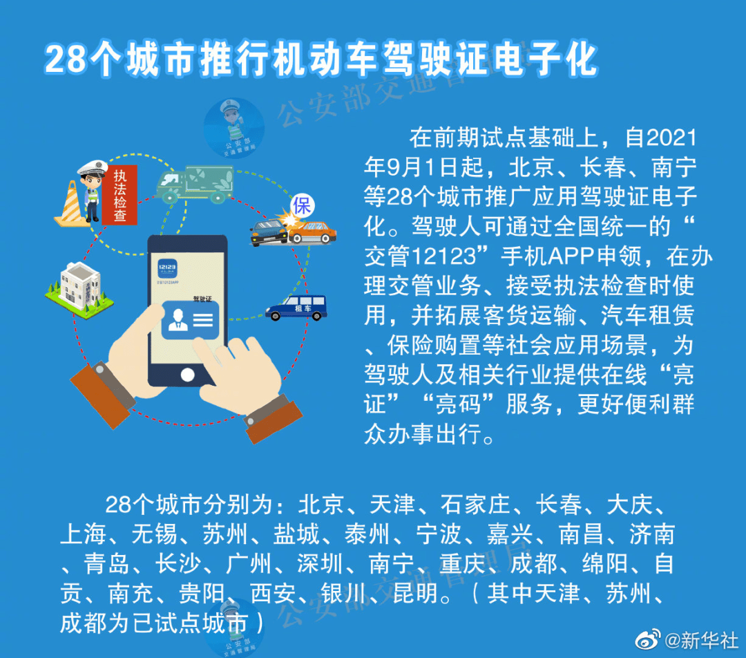 新澳2025今晚开奖资料四不像的实用释义、解释与落实